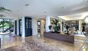 Arrendamento de curta duraçāo Propriedade Cannes