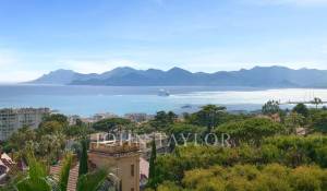 Arrendamento de curta duraçāo Propriedade Cannes