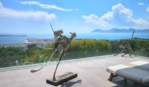 Arrendamento de curta duraçāo Propriedade Cannes