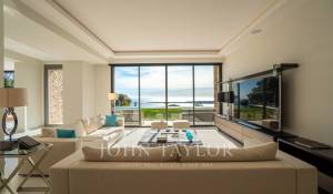 Arrendamento de curta duraçāo Propriedade Cannes