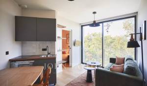 Arrendamento de curta duraçāo Propriedade Cannes