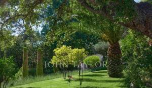 Arrendamento de curta duraçāo Propriedade Cannes