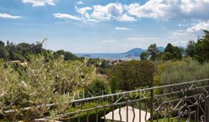 Arrendamento de curta duraçāo Propriedade Cannes