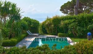 Arrendamento de curta duraçāo Propriedade Cannes