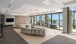 Arrendamento de curta duraçāo Propriedade Cannes