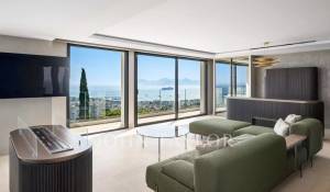 Arrendamento de curta duraçāo Propriedade Cannes