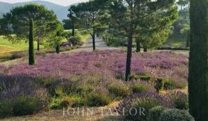 Arrendamento de curta duraçāo Propriedade Fréjus