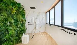 Arrendamento de curta duraçāo Propriedade Grimaud