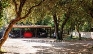 Arrendamento de curta duraçāo Propriedade La Colle-sur-Loup
