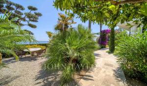 Arrendamento de curta duraçāo Propriedade Vallauris