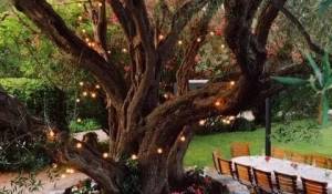 Arrendamento de curta duraçāo Villa Antibes