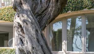 Arrendamento de curta duraçāo Villa La Colle-sur-Loup