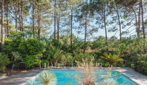 Arrendamento de curta duraçāo Villa Lège-Cap-Ferret