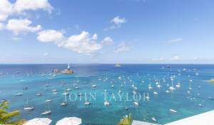 Arrendamento de curta duraçāo Villa Saint-Barthélemy