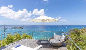 Arrendamento de curta duraçāo Villa Saint-Barthélemy