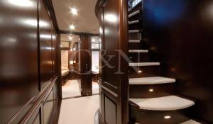 Charter Iate 