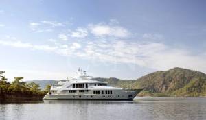 Charter Iate 