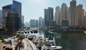Arrendar Mas Dubai Marina
