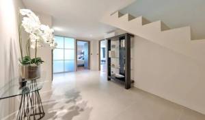 Arrendar Moradia Mougins