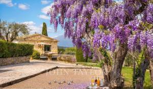 Arrendar Moradia Valbonne