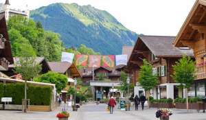 Arrendar Residência campestre Gstaad
