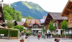 Arrendar Residência campestre Gstaad