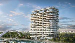 Construção Cobertura Al Wasl