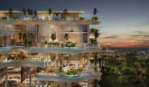 Construção Cobertura Al Wasl