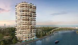 Construção Cobertura Al Wasl