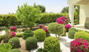 Construção Conjunto habitacional Paphos