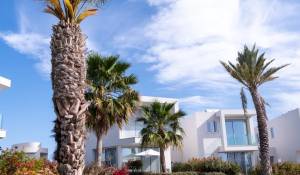 Construção Villa Peyia