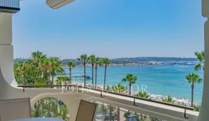 Eventos Apartamento Cannes