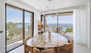 Eventos Apartamento Cannes