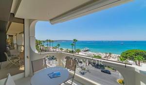 Eventos Apartamento Cannes