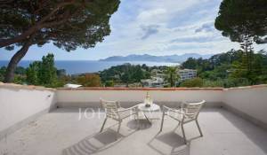 Eventos Propriedade Cannes