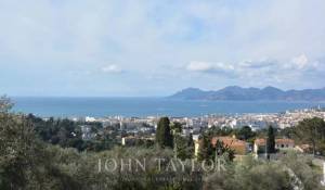 Eventos Propriedade Cannes