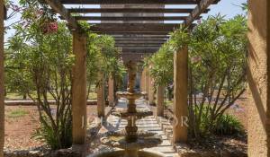 Eventos Propriedade Cannes