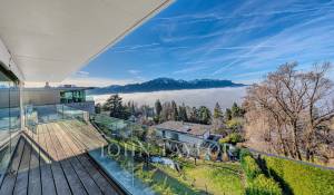 Venda Apartamento Brent