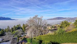 Venda Apartamento Brent