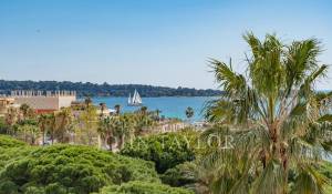 Venda Apartamento Cannes