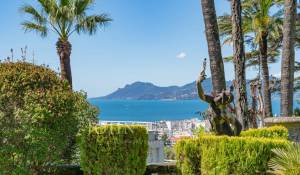 Venda Apartamento Cannes