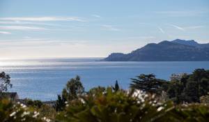 Venda Apartamento Cannes