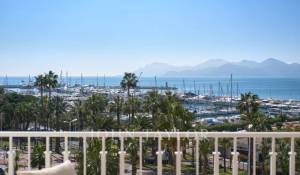 Venda Apartamento Cannes