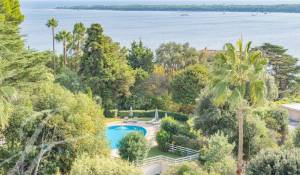 Venda Apartamento Cannes