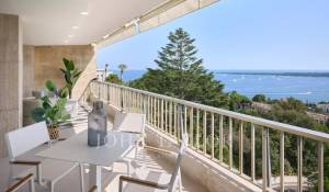 Venda Apartamento Cannes