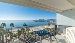 Venda Apartamento Cannes