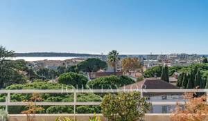 Venda Apartamento Cannes