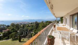 Venda Apartamento Cannes