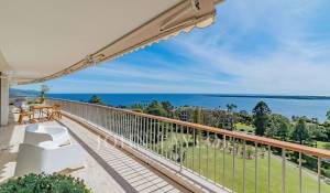 Venda Apartamento Cannes