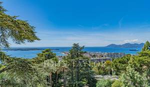 Venda Apartamento Cannes